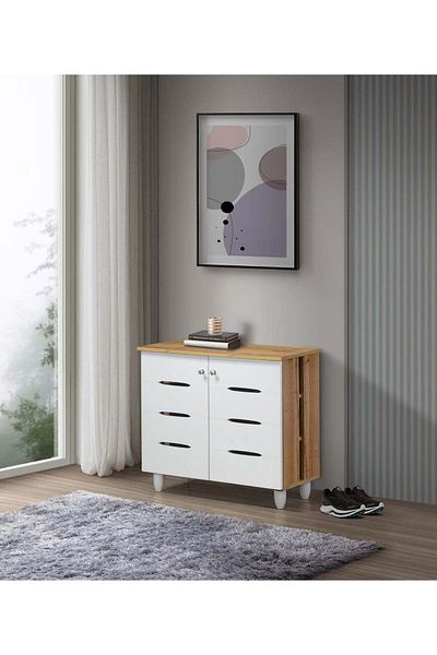 woodage Shoe Storage Cabinet with 2 Shelves and 2 Doors