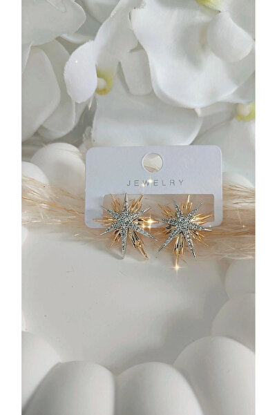 To Be Reborn Çelik Kuzey Yıldızı Xuipng Küpe