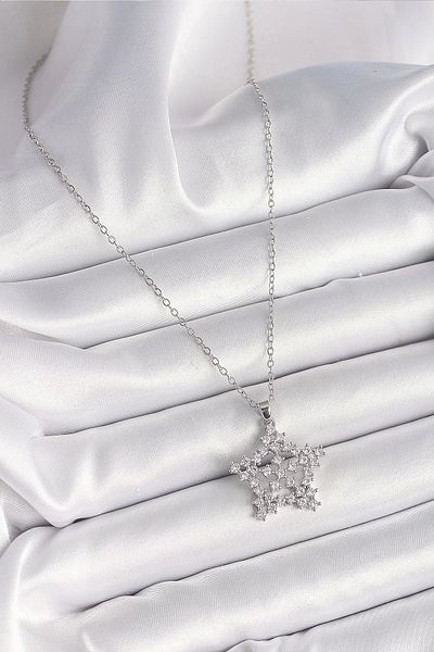 Store 316L Steel Silver Color Chain Zircon Stone Snowflake Model Women's Necklace