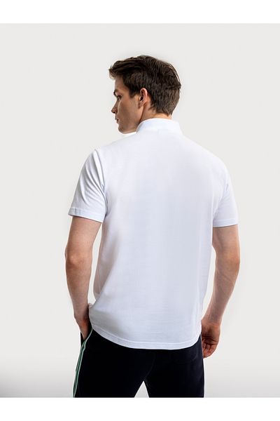 Loft Regular Fit Men's Polo Arm