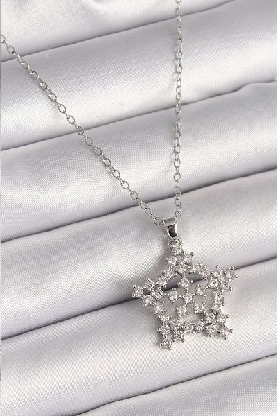 Store 316L Steel Silver Color Chain Zircon Stone Snowflake Model Women's Necklace