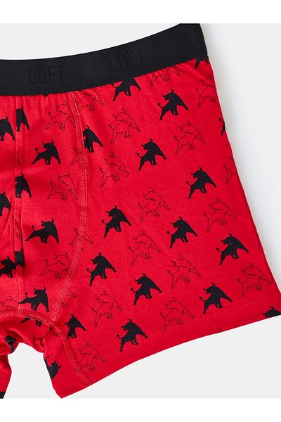 Loft Men's Underwear