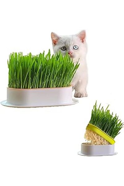Mu Art 0 Natural Mesh Grass with Plastic Bowl (Anti-Fur)