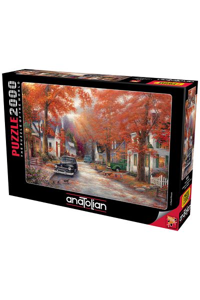 Anatolian Puzzle 2000 Piece Jigsaw Puzzle - Memories Street 3930