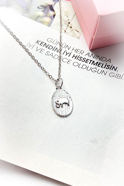 roshel Steel Silver Color Thin Chain Steel Necklace