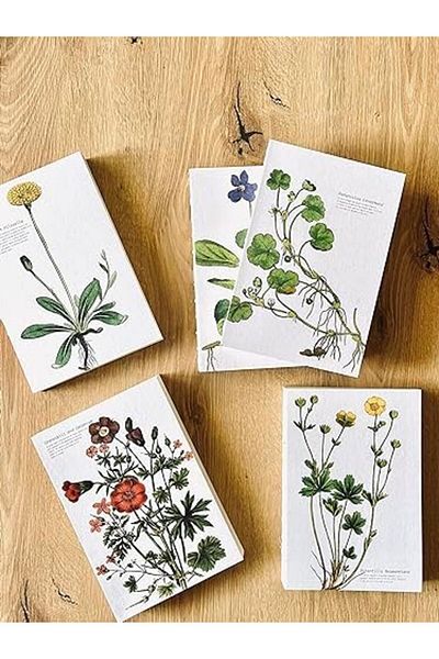 STOREMAX Jvnnastore Promotion Special Design Printed Cover A5 Lined Notebook - Can Open 180 Degrees,