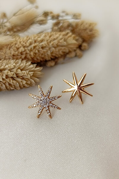 COSİTA Rose Minimal North Star One Straight One Stone Earrings