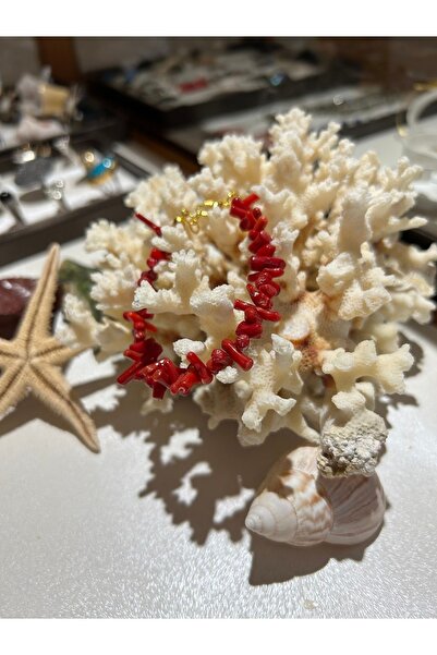 Luna سوار مرجاني