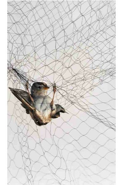 Others Bird Hunting Nylon Net