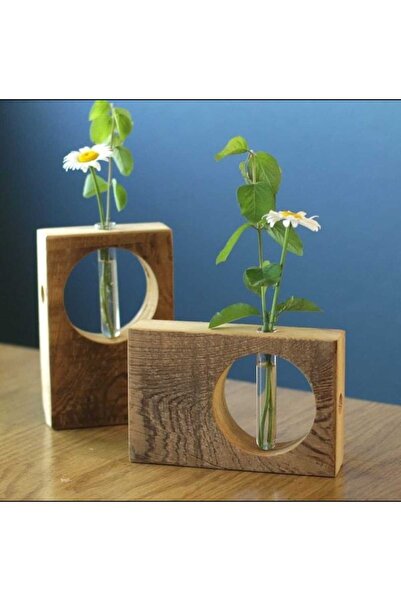 WoodGlow Saksılık Mini Cam Tüp Vazo Saksı Ahşap Stand