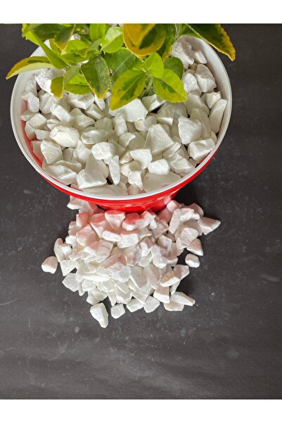 Erdönmez Peyzaj - Dolomit Beyaz ( 1-3 cm Boy / 10 kg ) Bahçe Dekoratif Çakıl ...