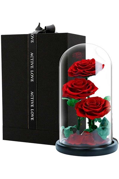 Generic Vitacelli 3 Red Roses in Glass Dome Real Eternal Rose Preserved Flower with Luxury Gift Box