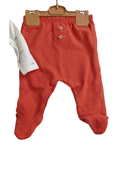 Biorganic Bioorganic Sun Lets Sai̇l Set of 3