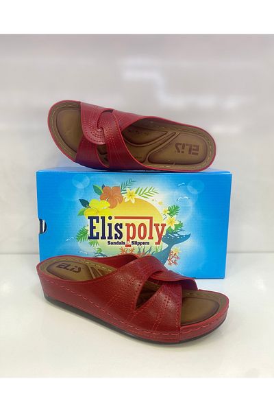 ElisPoly التشريح الكامل لجراحة العظام، النعل الخفيف من البولي، النعال اليومية للحيوانات الأليفة.