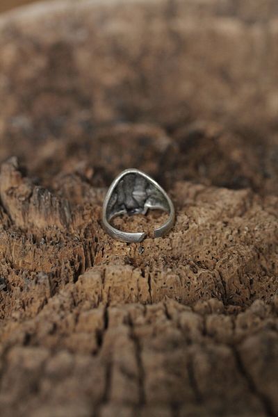 Clariss Adjustable Motif Skull Design Men's Ring