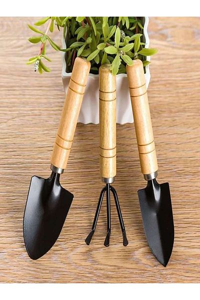 Other Mini Size Garden Tools Set Trowels and Rake Tool with Wooden Handle for Small Plants (Set of 3)