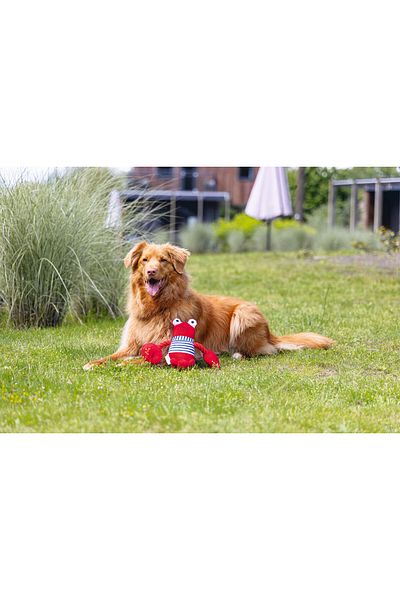 Beeztees Dog Toy, Lobster, Plush, Red, 24X38X13Cm Svlrs