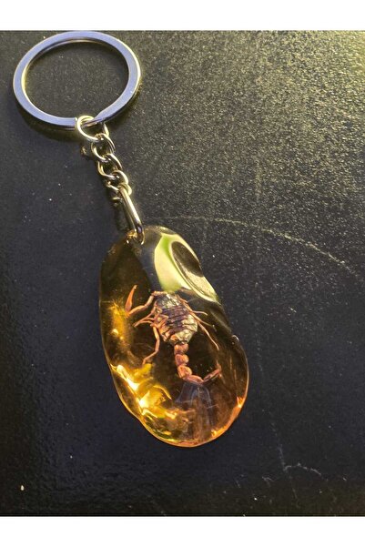 AMBER CRAFTS Orijinal Amber Craft Akrep Anahtarlık
