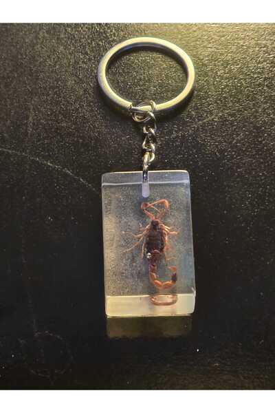 AMBER CRAFTS Orijinal Amber Craft Gerçek Akrep Anahtarlık