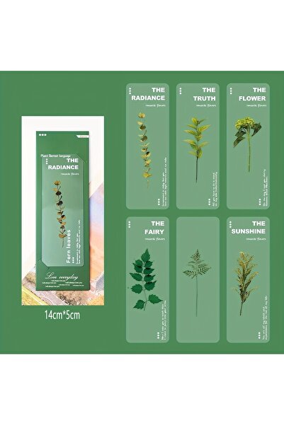 Fivy 6 bucăți semne de carte transparente cu tematică florală