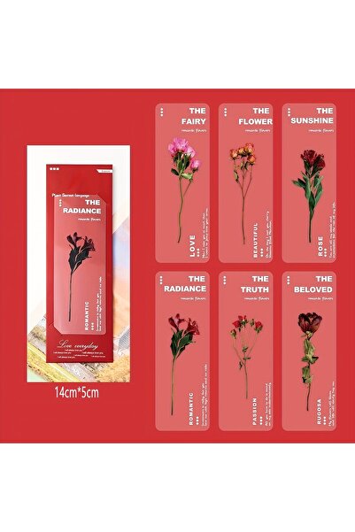 Fivy 6 bucăți semne de carte transparente cu tematică florală