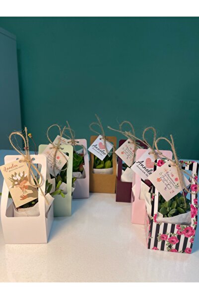 FİDAN PAZARI ANNELER GÜNÜ ÖZEL ÇANTALI MODEL SUKULENT KARIŞIK RENK 20 ADET