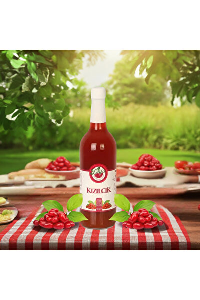 Dafa Kızılcık Suyu 750ml E, K, C Vitamini, Manganez, Potasyum Ve Lif Gibi Vitamin Ve Mineraller Içerir