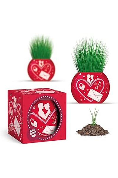 nazeninstoğu Love Themed XL Grass Man - 6-Piece Plant Growing Set – a Romantic and Fun Gift