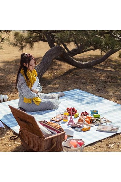 OEM Picnic blanket, with eco-leather handle, 200 x 150 cm, checkered design, Blue and white