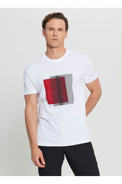 ALTINYILDIZ CLASSICS Altınyıldız Classics Crew Neck εμπριμέ λευκό ανδρικό μπλουζάκι ACE091252071 BYZ