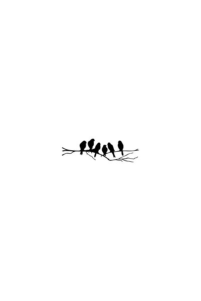 Generic Brand Birds on the Branch - Vehicle, Auto, Laptop, Wall Compatible St...