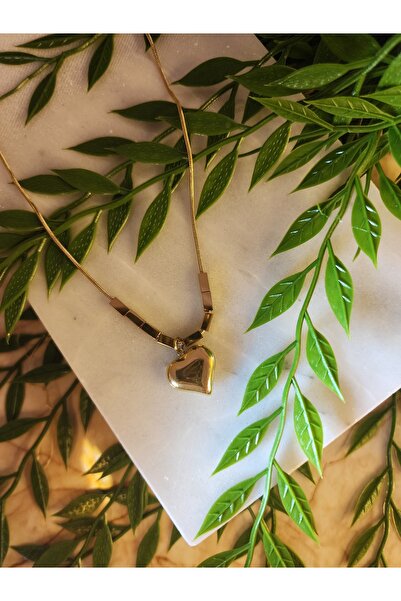 ALLEGRİA Gold Domed Heart Steel Necklace