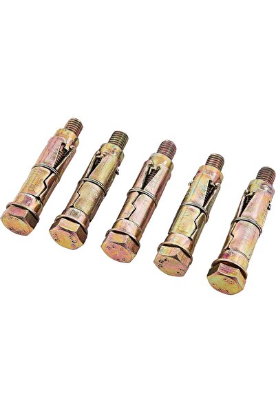 Amtech S5935 Expansion Bolts, 10 x 70 mm, 5-Piece