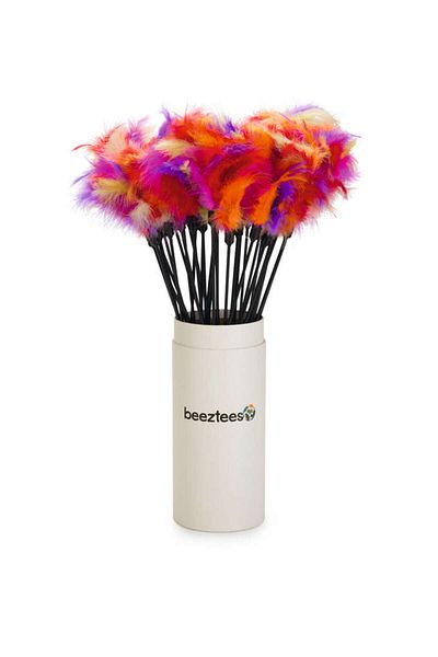 Beeztees Cat Fishing Rod, Feather Tip-12Cm, 45cm Hnzrn