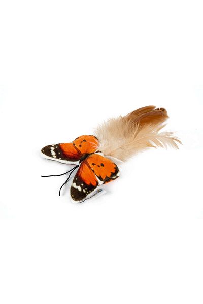 Beeztees Cat Toy, Butterfly, Feather, 8X16X2Cm Hnzrn