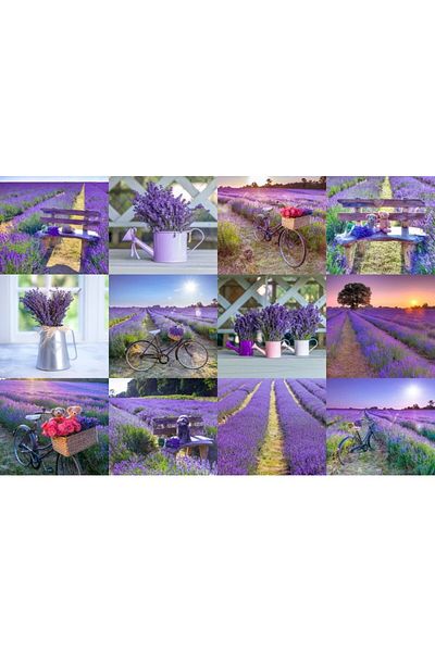 Wooden City Wooden Puzzle LAVENDER FRANCE L, Wooden City, 300 pieces