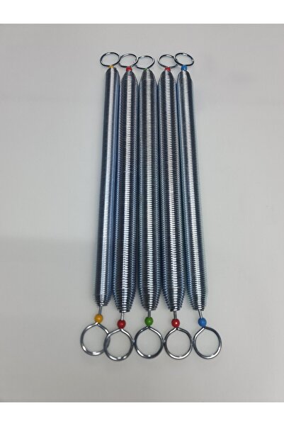 Efu sport Reformer Taşıyıcı Alt Takım Yay 5 Adet