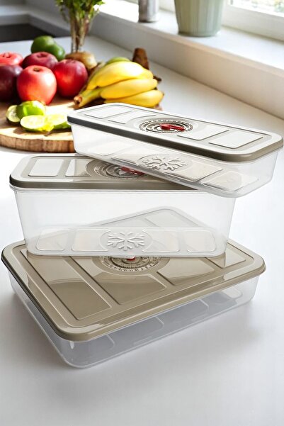 Home 3-Pack Plastic Storage Container with Date and Time Display