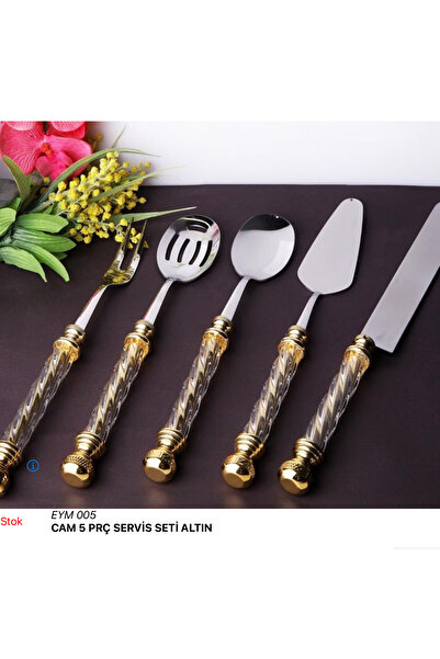 ROY KING CAM 5 PRÇ SERVİS SETİ ALTIN