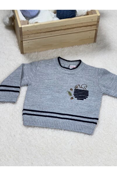 E&S EMİN'S emins Erkek Bebek Cepli Sincap Nakışlı Çizgi Detaylı Triko Kazak Pantolon Alt-Üst Takım