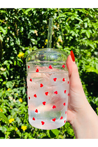 Caga Home CAGA Isıya Dayanıklı Borosilikat Cam Pipetli ve Kapaklı Pinterest B...