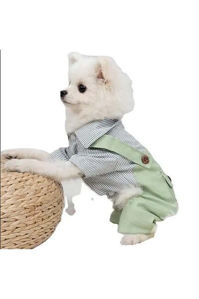 PUFO Salopetă pentru câini Doggye, verde/alb, mărimea S