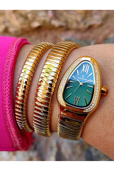 Raymond Steel Women's Wristwatch