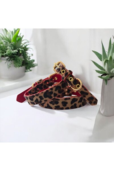 TheTailor The Tailor İncili Deri Boyun Tasması