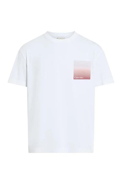 Calvin Klein Men's Back Section Line and Text Patterned T-Shirt K10K114164-Yaf