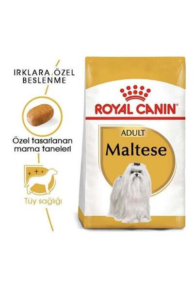 Royal Canin Maltese Terrier Adult Yetişkin Köpek Maması 1.5 Kg