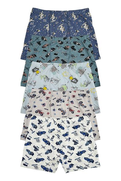 TEKKAPLAN 6-Piece Assorti Printed Boys Boxers