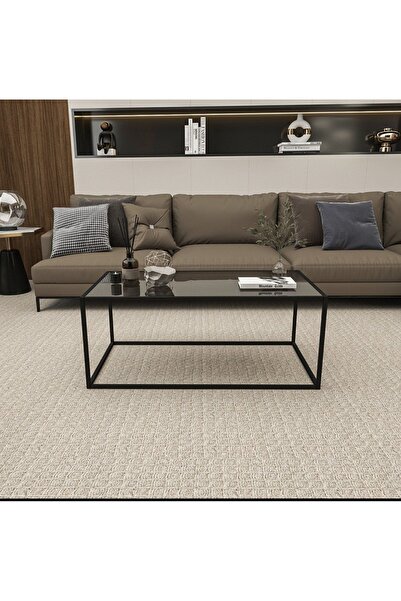 AVİBO HOME Vanessa Siyah Orta Sehpa Füme Cam