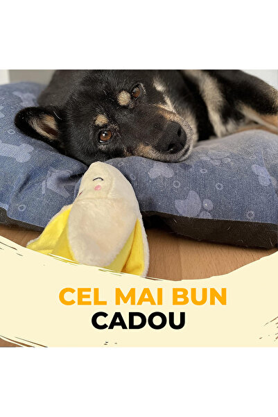 Fish & Paws Set 18 jucării interactive Fish & Paws® pentru câini, sigure și distractive, sănătate dentară