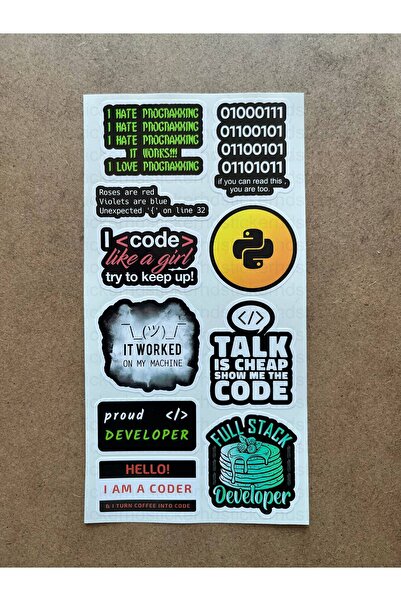 hdsticker 64 Adet Yazılım & Yazılımcı Software Developer Laptop Notebook Tablet Etiket Sticker Set P60